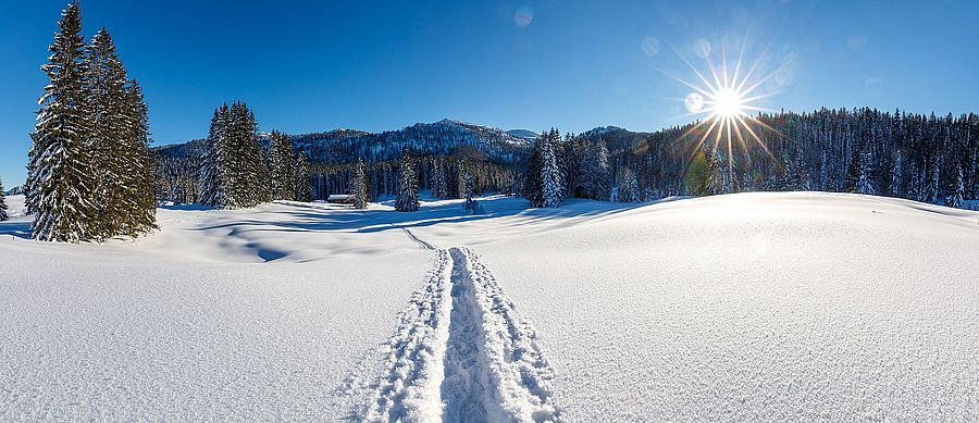 1. Schneeschuhtour zum Weingarten – leicht 1. Schneeschuhtour zum Weingarten – leicht