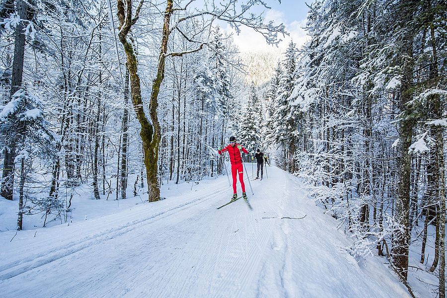 Biathlon Biathlon